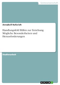 Handlungsfeld Hilfen zur Erziehung. Mögliche Besonderheiten und Herausforderungen - Annabell Nafarieh - E-Book