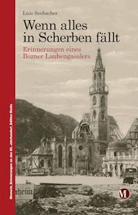 Wenn alles in Scherben fällt - Luis Seebacher - E-Book