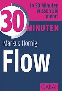30 Minuten Flow - Markus Hornig - E-Book