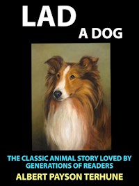 Lad A Dog - Albert Payson Terhune - E-Book