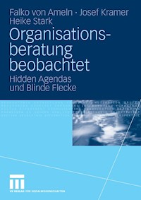 Organisationsberatung beobachtet - Falko Ameln - E-Book
