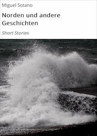 Norden und andere Geschichten - Miguel Sotano - E-Book