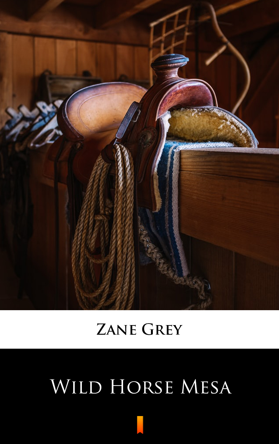 Wild Horse Mesa - Zane Grey - E-Book