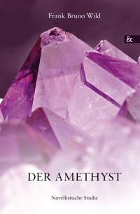 Der Amethyst - Frank Bruno Wild - E-Book