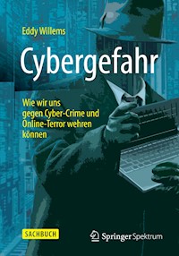 Cybergefahr - Eddy Willems - E-Book