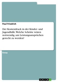 Der Kostendruck in der Kinder- und Jugendhilfe. Welche Schritte wären notwendig, um Leistungsansprüchen gerecht zu werden? - Paul Friedrich - E-Book