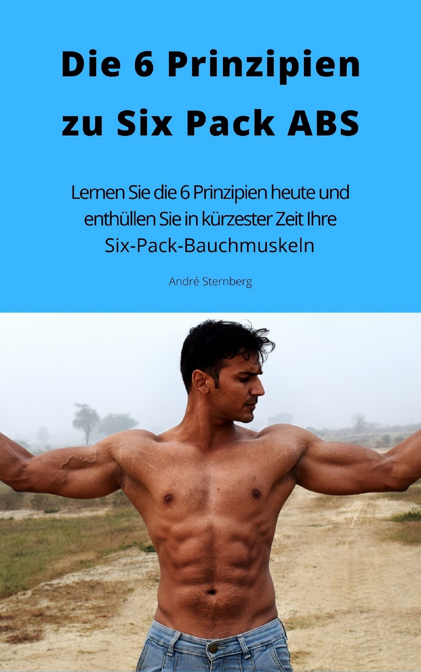 Die 6 Prinzipien zu Six Pack ABS - Andre Sternberg - E-Book
