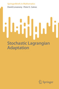 Stochastic Lagrangian Adaptation - David Levanony - E-Book