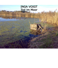 Tod im Moor - Inga Voigt - E-Book