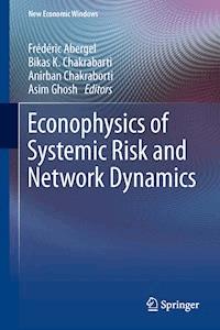 Econophysics of Systemic Risk and Network Dynamics -  - E-Book