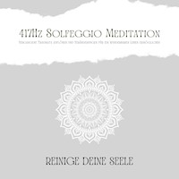 417Hz Solfeggio Meditation: Vergangene Traumata auflösen und Veränderungen für ein wunderbares Leben ermöglichen - Patrick Lynen - Hörbuch