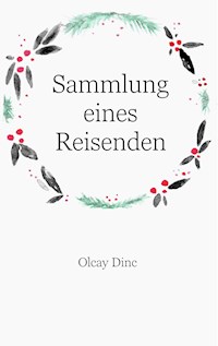 Sammlung eines Reisenden - Olcay Dinc - E-Book