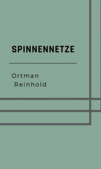 Spinnennetze - Reinhold Ortmann - E-Book