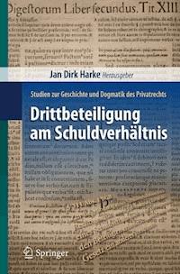 Drittbeteiligung am Schuldverhältnis -  - E-Book