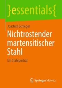 Nichtrostender martensitischer Stahl - Joachim Schlegel - E-Book