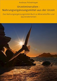 Urzeitmineralien - Nahrungsergänzungsmittel aus der Urzeit - Andreas Pichelmayer - E-Book