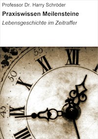 Praxiswissen Meilensteine - Professor Dr. Harry Schröder - E-Book
