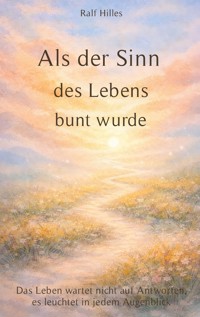 Als der Sinn des Lebens bunt wurde - Ralf Hilles - E-Book