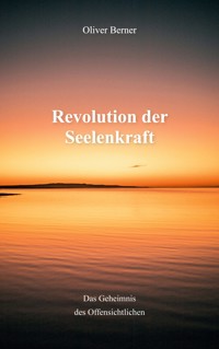 Revolution der Seelenkraft - Oliver Berner - E-Book