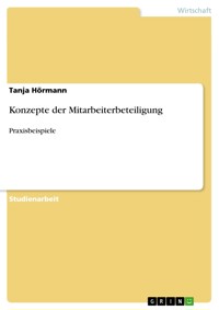 Konzepte der Mitarbeiterbeteiligung - Tanja Hörmann - E-Book