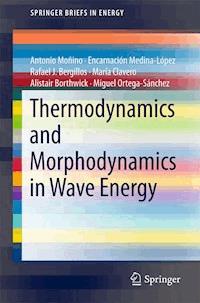 Thermodynamics and Morphodynamics in Wave Energy - Antonio Moñino - E-Book
