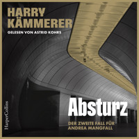 Absturz (ungekürzt) - Harry Kämmerer - Hörbuch