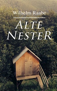Alte Nester - Wilhelm Raabe - E-Book