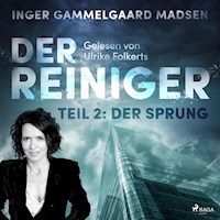 Der Reiniger, Teil 2: Der Sprung (Ungekürzt) - Inger Gammelgaard Madsen - Hörbuch