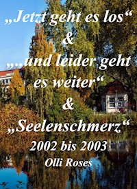 Es geht wirder los bis Seelenschmerz - Olli Roses - E-Book