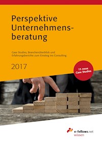 Perspektive Unternehmensberatung 2017 -  - E-Book