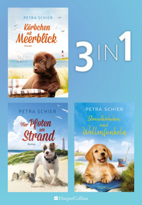 Lichterhaven Band 1-3 - Petra Schier - E-Book