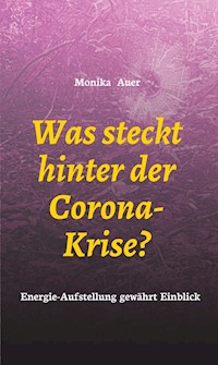 Was steckt hinter der Corona-Krise? - Monika Auer - E-Book