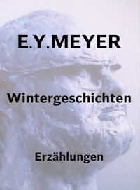 Wintergeschichten - E. Y. Meyer - E-Book