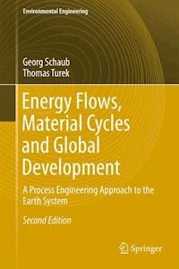Energy Flows, Material Cycles and Global Development - Georg Schaub - E-Book