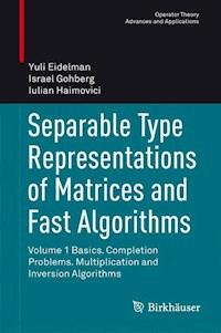 Separable Type Representations of Matrices and Fast Algorithms - Yuli Eidelman - E-Book