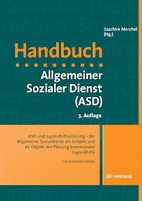 ASD und Jugendhilfeplanung - der Allgemeine Sozialdienst als Subjekt und als Objekt der Planung kommunaler Jugendhilfe - Reinhold Schone - E-Book