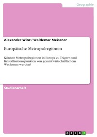 Europäische Metropolregionen - Alexander Winz - E-Book