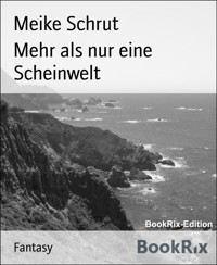 Mehr als nur eine Scheinwelt - Meike Schrut - E-Book