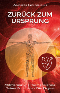 Zurück zum Ursprung Bd. 2 - Andreas Goldemann - E-Book