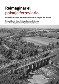 Reimaginar el paisaje ferroviario - Trinidad Bazán - E-Book