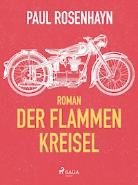 Der Flammen-Kreisel - Paul Rosenhayn - E-Book