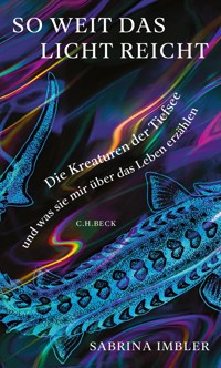 So weit das Licht reicht - Sabrina Imbler - E-Book