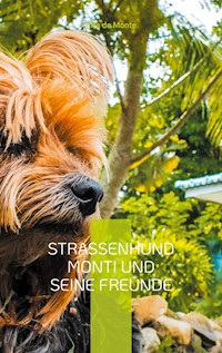 Straßenhund Monti und seine Freunde - Rita de Monte - E-Book