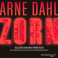 Zorn (Opcop-Gruppe 2) - Arne Dahl - Hörbuch