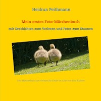 Mein erstes Foto- Märchenbuch - Mit Geschichten zum Vorlesen und Fotos zum Staunen - Heidrun Peithmann - E-Book
