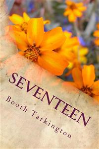 seventeen - Booth Tarkington - E-Book