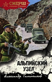 Альпийский узел - Тамоников Александр - E-Book