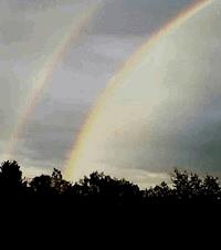 Abschied und Neubeginn - Brushwood Mikel - E-Book