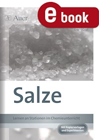 Salze - Erwin Graf - E-Book