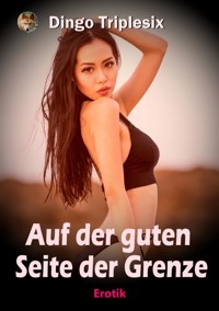 Auf der guten Seite der Grenze - Dingo Triplesix - kostenlos E-Book